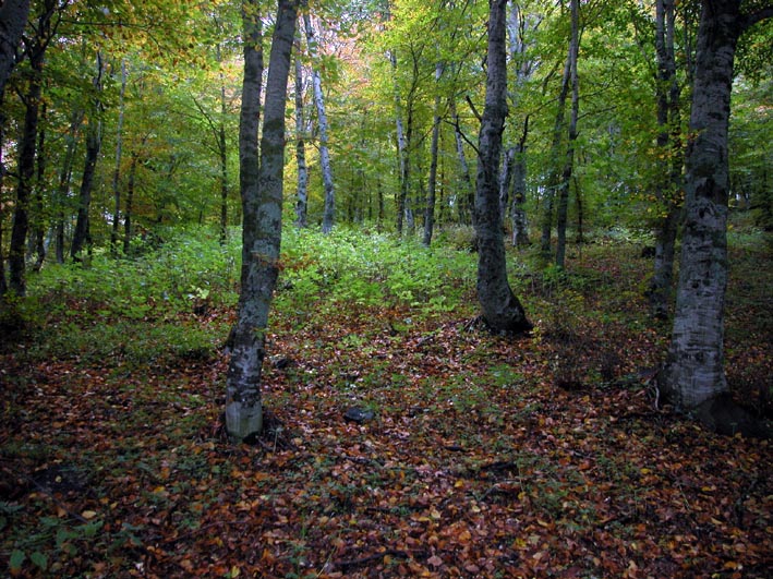 Mattinata sul Pian Piccolo